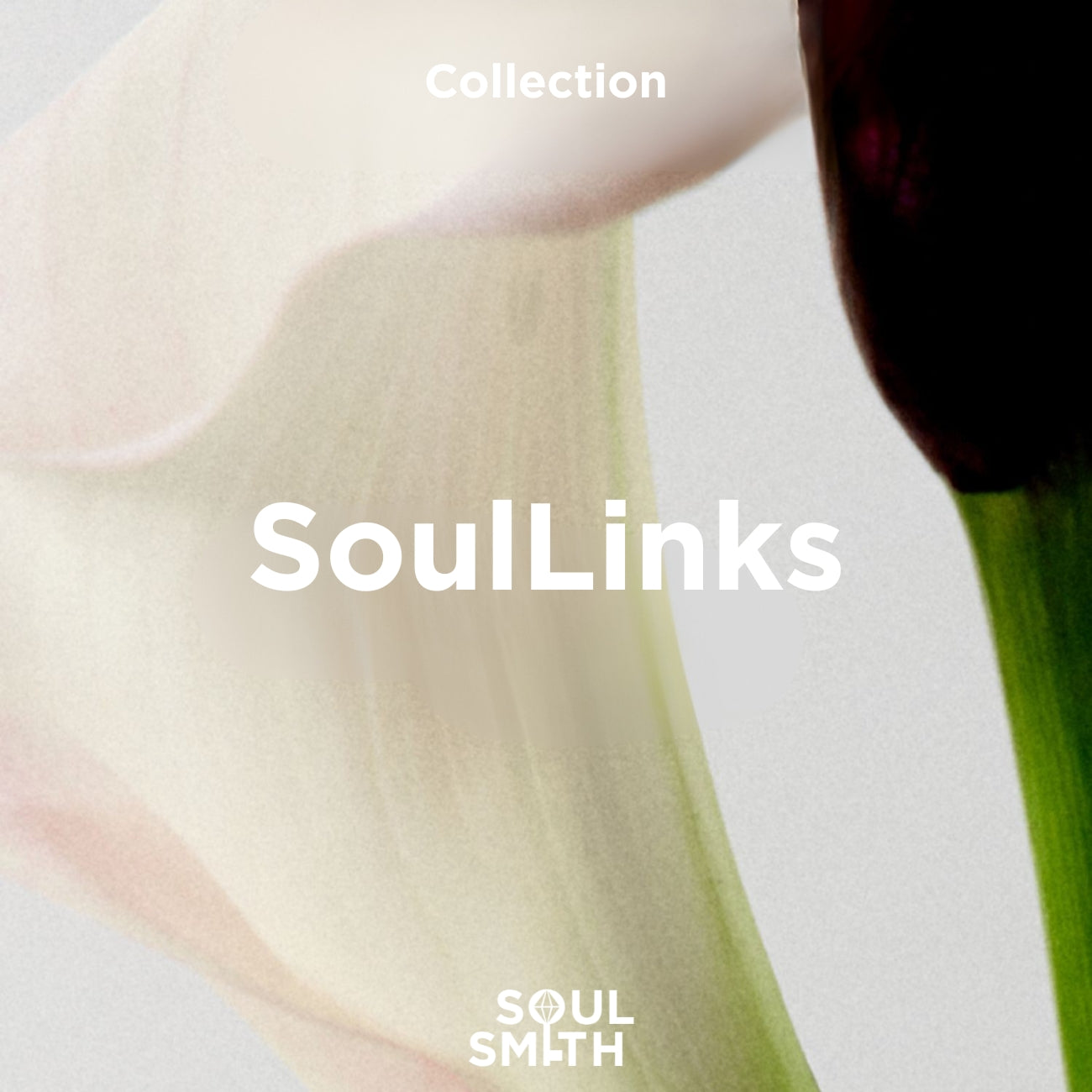 SoulLinks collection