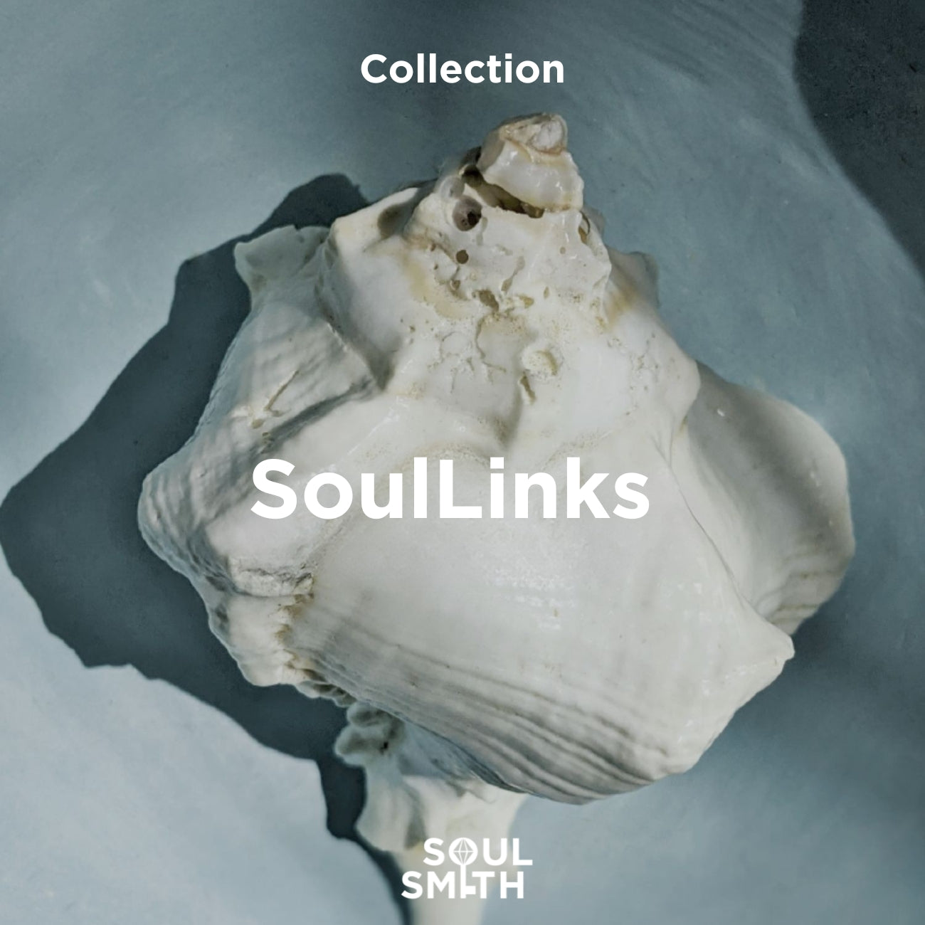 Cream-toned seashell placed on a cool slate background with “SoulLinks Collection” text overlay—minimalist and natural branding image for Soulsmith.
