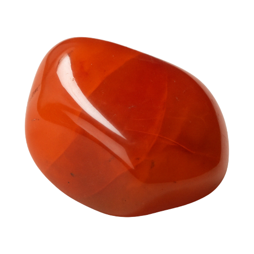 Polished carnelian crystal on transparent background, a powerful sacral chakra stone that boosts confidence, motivation, and sensual energy